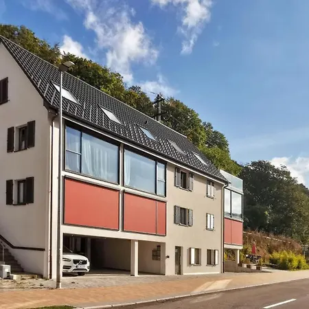Exklusive Mit 2 Schlafzimmern Fuer 4 Personen Nur 30 Minuten Von Zuerich Entfernt * Dettighofen (Waldshut)