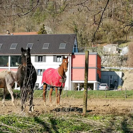 Exklusive Mit 2 Schlafzimmern Fuer 4 Personen Nur 30 Minuten Von Zuerich Entfernt * Dettighofen (Waldshut)